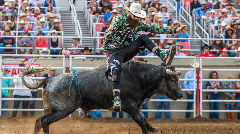 Bullrider jumps off bull at California Rodeo in Salinas, California.