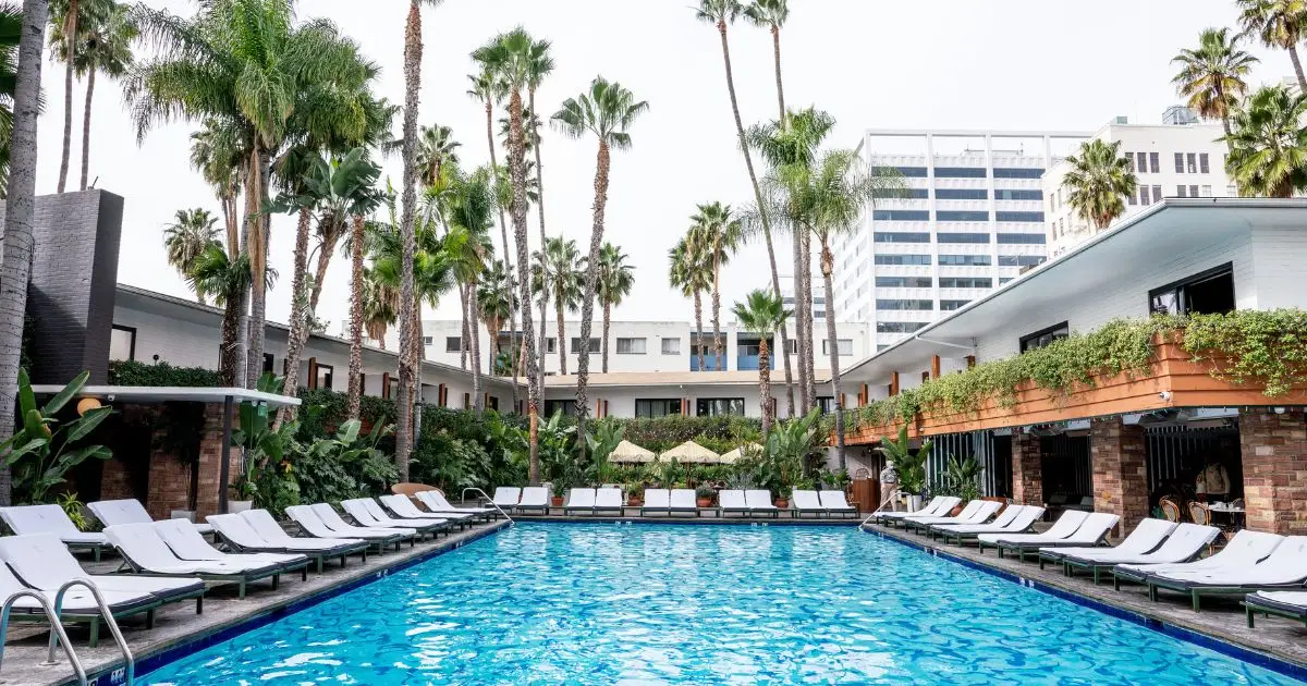 The luxurious outdoor pool at Hotel Roosevelt is surrounded by white lounge chairs, with palm trees and modern buildings in the background. The pool area is clean and inviting, with greenery adding a touch of nature.