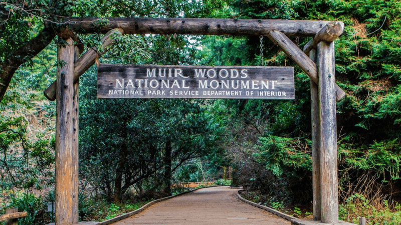 Muir Woods Entrance Free National Park Days