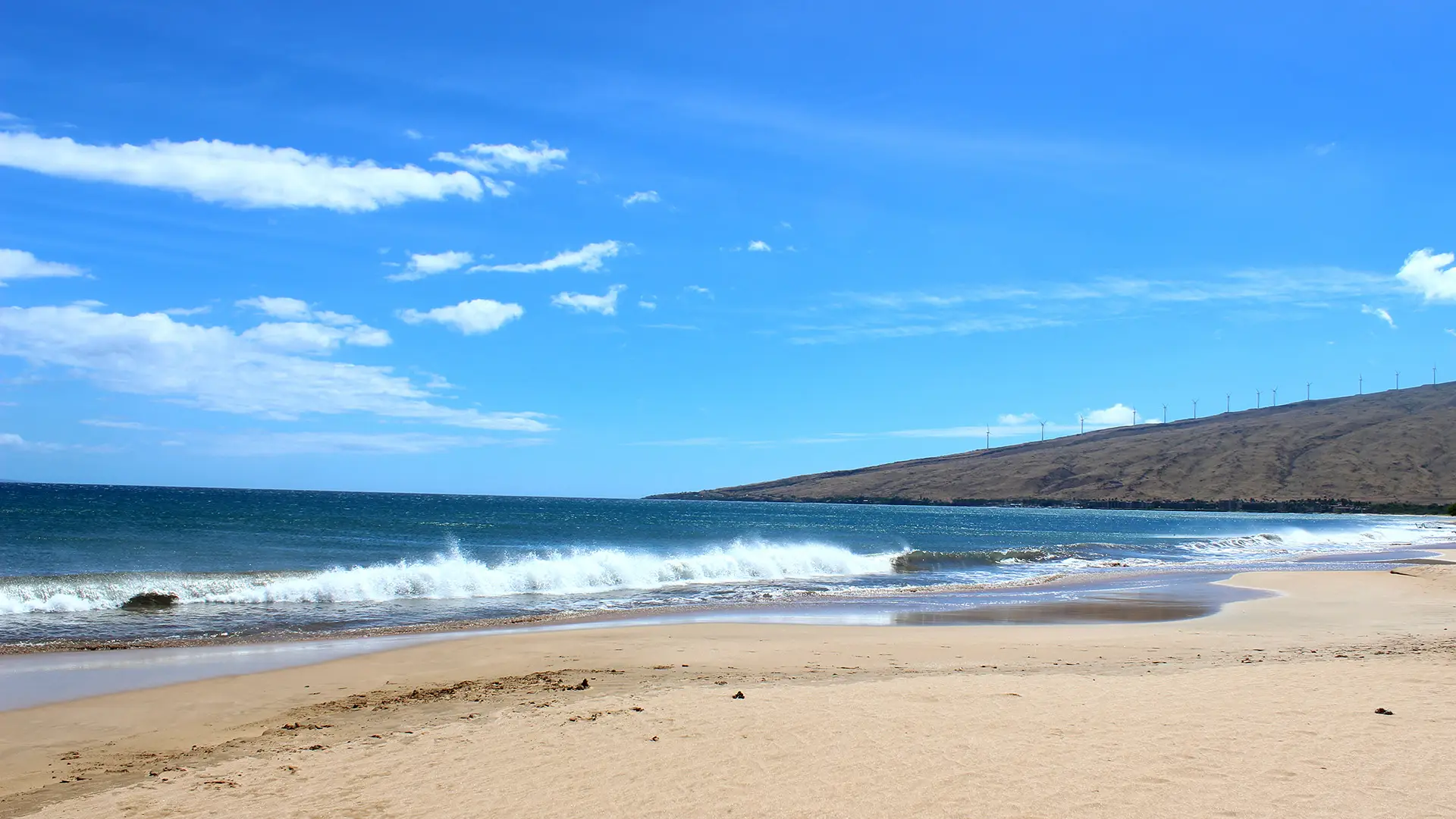 A serene beach scene with golden sand, gentle waves crashing on the shore, and a clear blue sky with a few clouds—one of the best beaches for walks on Maui. In the background, there is a hill on the right side with wind turbines visible on top.