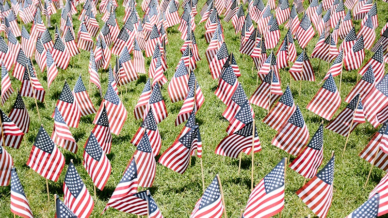 Field of American flags for Memorial Day.