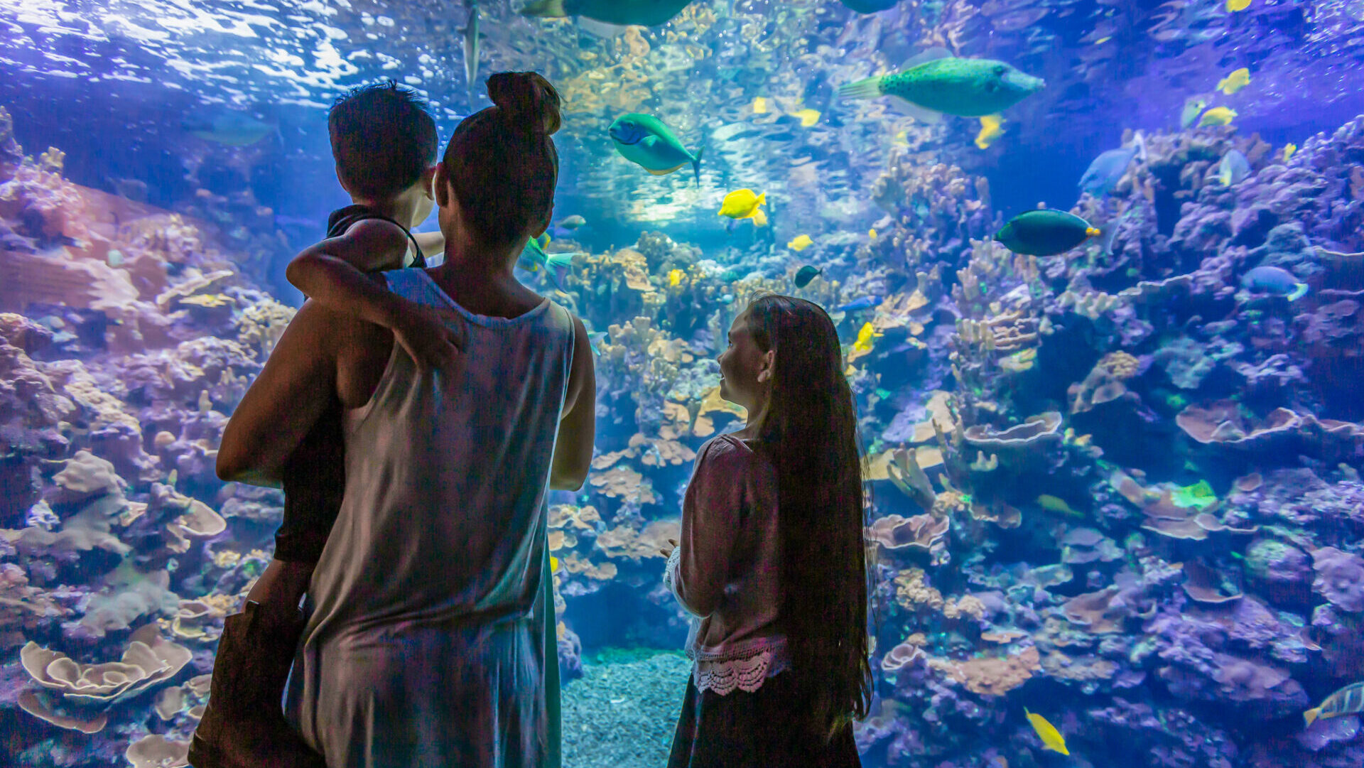 Maui Ocean Center, Aquarium