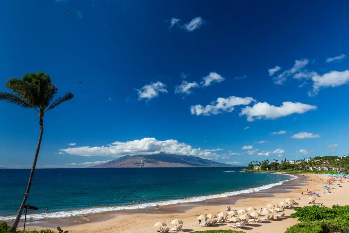 A picturesque beach scene on a sunny day features clear blue skies, fluffy white clouds, and a calm ocean. The sandy beach is lined with white umbrellas, and a lone palm tree stands to the left. In the distance, there are lush green trees and rolling hills—a perfect spot if you're wondering where to stay in Wailes.