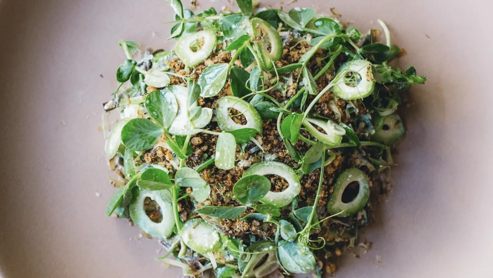 A dish garnished with fresh green pea shoots and thinly sliced cucumbers on a light-colored plate. The base appears to be a grain or seed mixture with herbs and crumbled seasoning. The overall presentation is vibrant and fresh, making it one of the best dinner options in San Francisco.