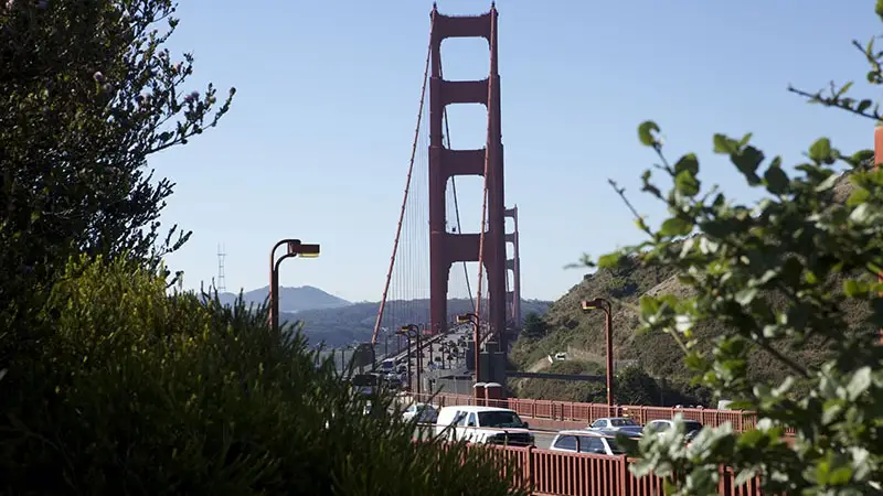 The Golden Gate Bridge on a sunny day, partially obscured by green foliage, with a line of cars driving across its span. The iconic red structure stands against a clear blue sky with distant hills visible in the background—a perfect sight as you explore East Bay activities.