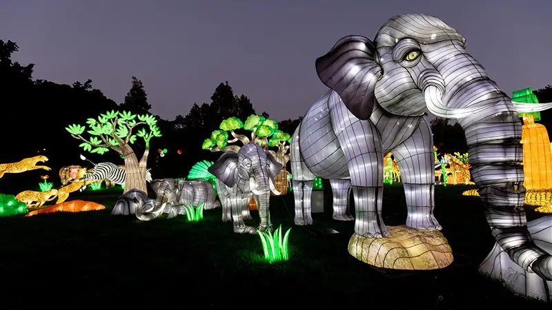 Brightly illuminated lanterns depict various animals, including elephants, zebras, and cheetahs, against a dark evening sky. The lanterns are intricately designed, with the largest elephant standing prominently in the foreground. Trees and plants add to the vibrant scene of one of the Best Annual Events in the East Bay.