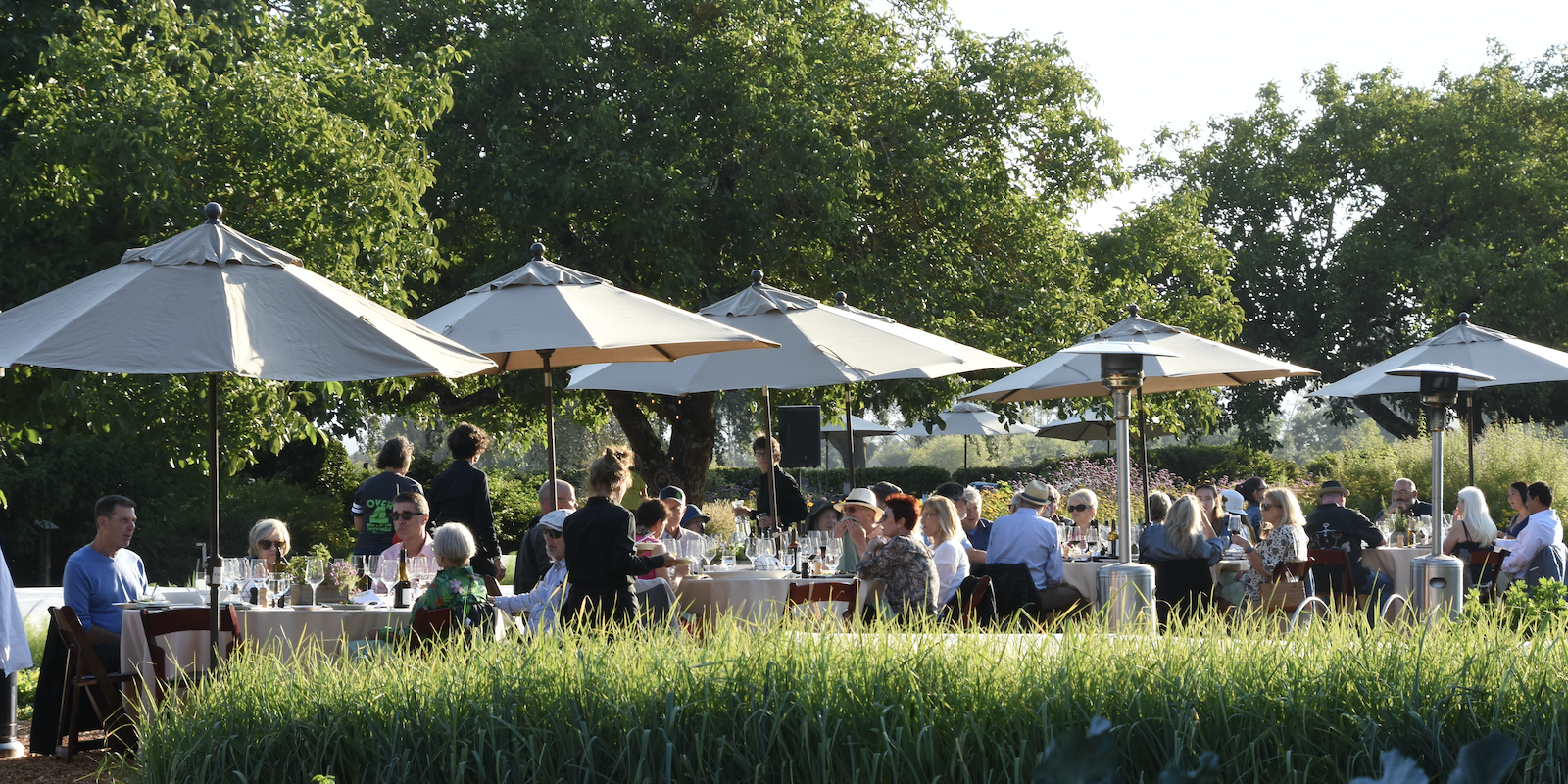 Outdoor tables under umbrellas at Kendall-Jackson Wine Estates' Farm-to-Table Summer Supper Series in Sonoma, California