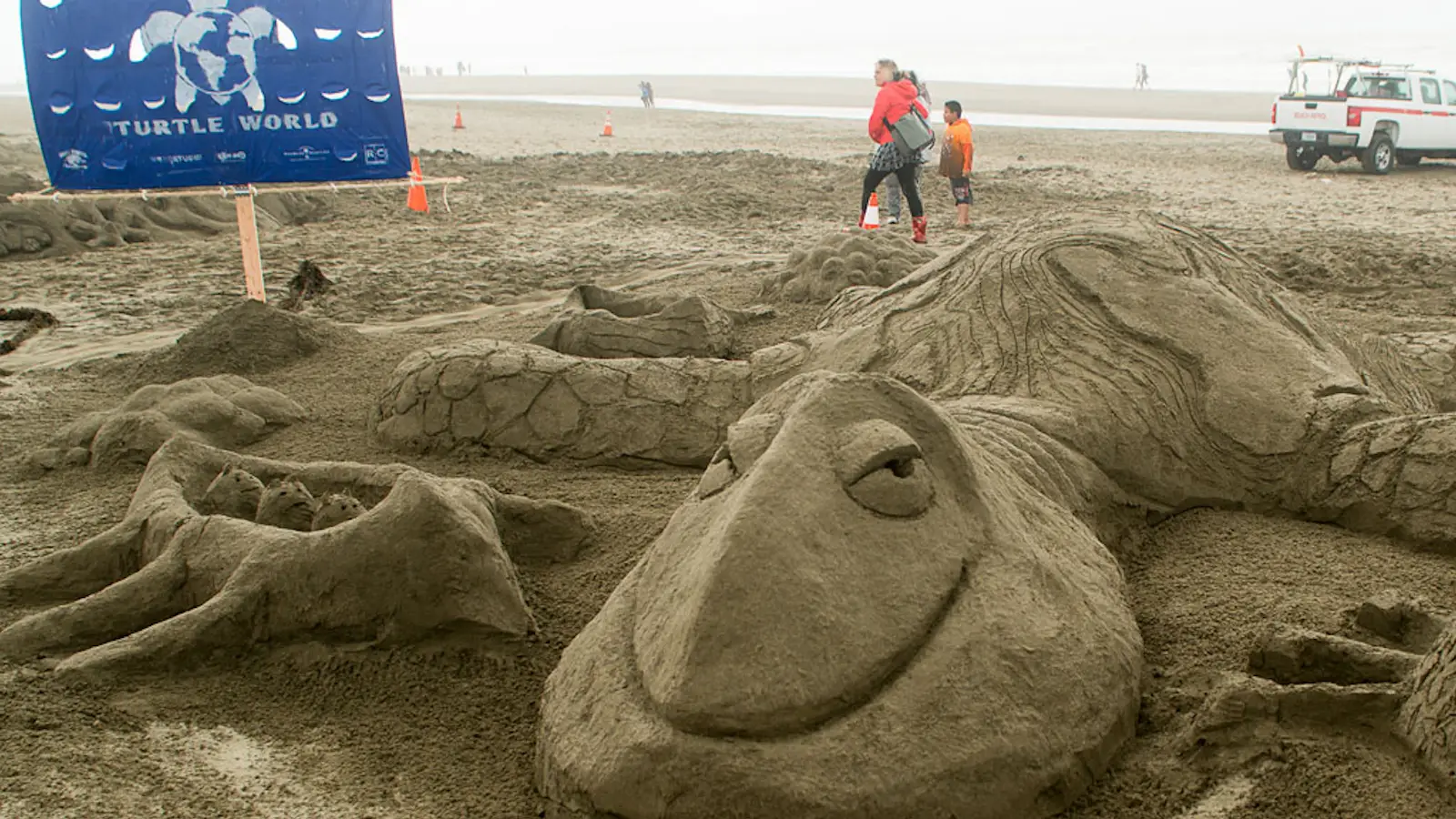 Giant turtle sculpture made out of sand at San Francisco sandcastle competition