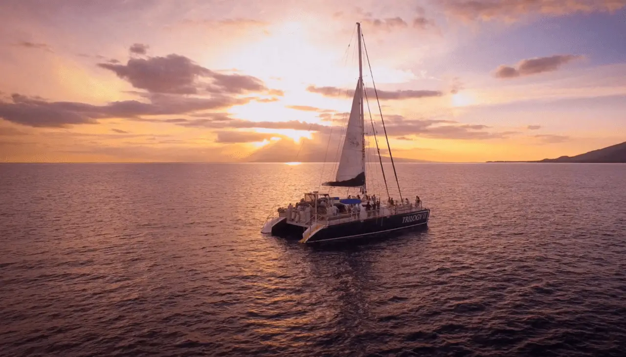 A catamaran with a raised sail glides on calm ocean waters during sunset, creating a scene as picturesque as those you'd find when researching where to stay in Wailes. The sky is painted with hues of orange, pink, and purple, with scattered clouds partially obscuring the sun. Passengers are visible onboard, enjoying the serene view.