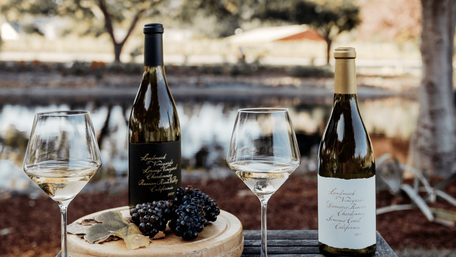 Bottles and glasses of wine for Winter Wineland January event in Sonoma