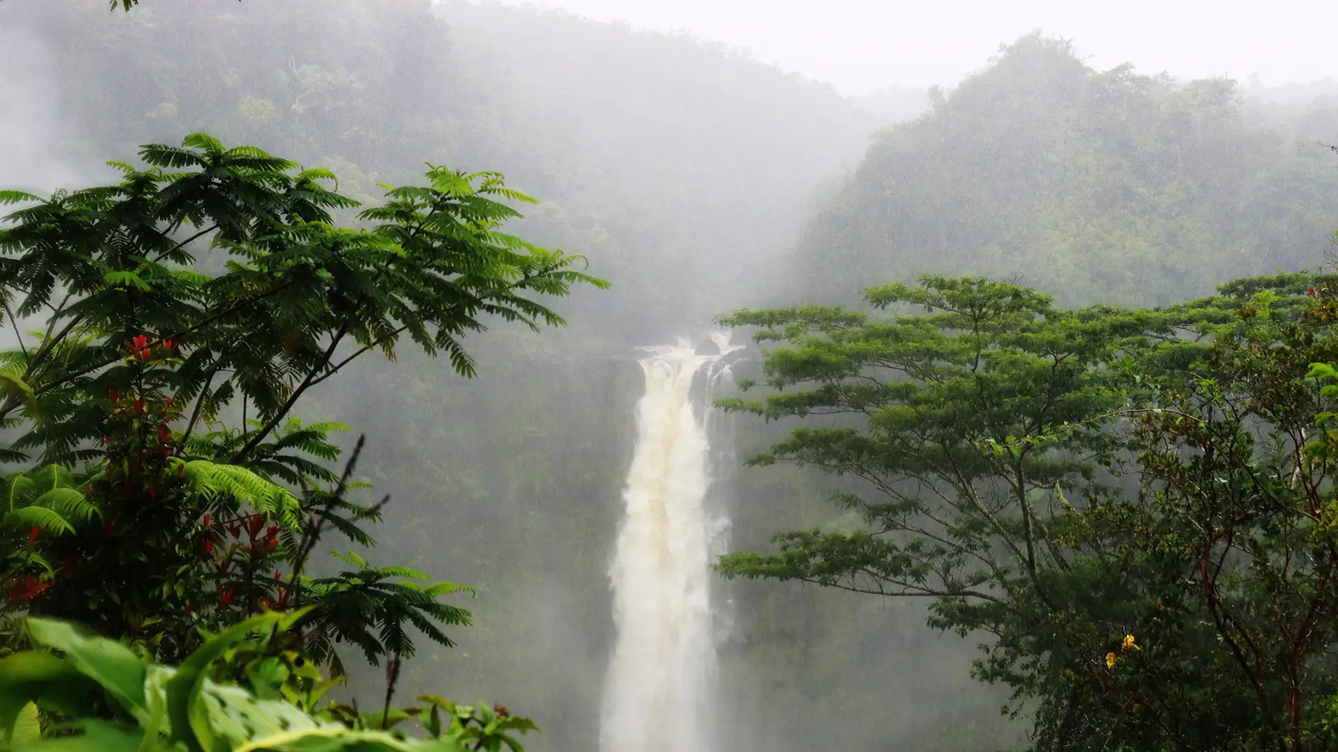 A tall waterfall cascades down a lush, green hillside surrounded by dense tropical vegetation. Mist rises from the waterfall, enveloping the scene in a mystical, foggy atmosphere. The landscape is serene and filled with vibrant, verdant foliage—a perfect spot for exploring what to do on the Big Island when it rains.