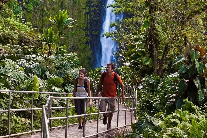 Two people hike on a paved path through lush greenery, with a tall waterfall cascading in the background. They are surrounded by dense tropical vegetation, and sunlight filters through the trees. The hikers carry backpacks and appear to be enjoying the scenic view.