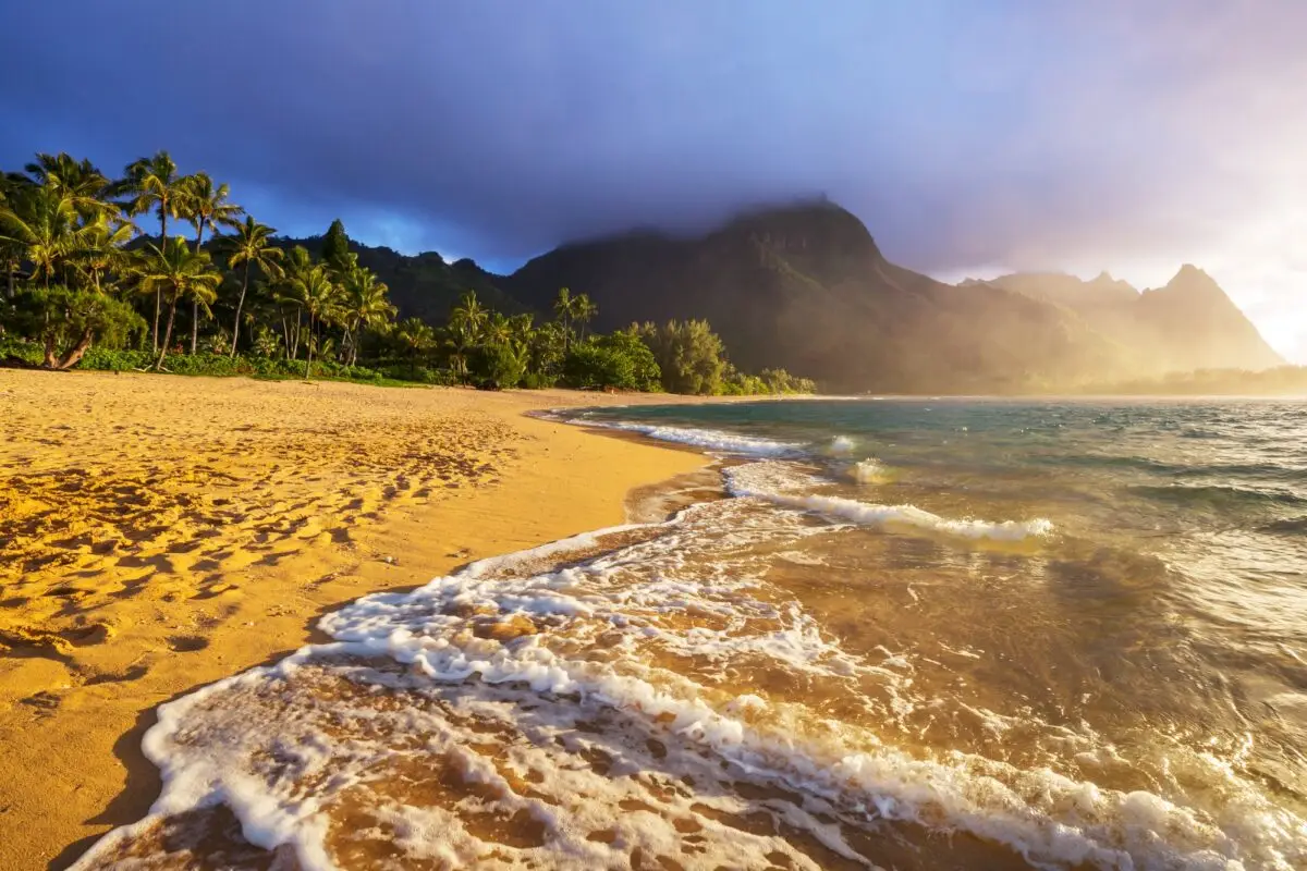 A serene beach scene at sunset with golden sands and gentle waves lapping the shore. Tall palm trees line the edge of the beach, leading to lush green hills and mountains partially shrouded in mist. The sky is a mix of blue and pink hues as the sun sets over Central Kauai.