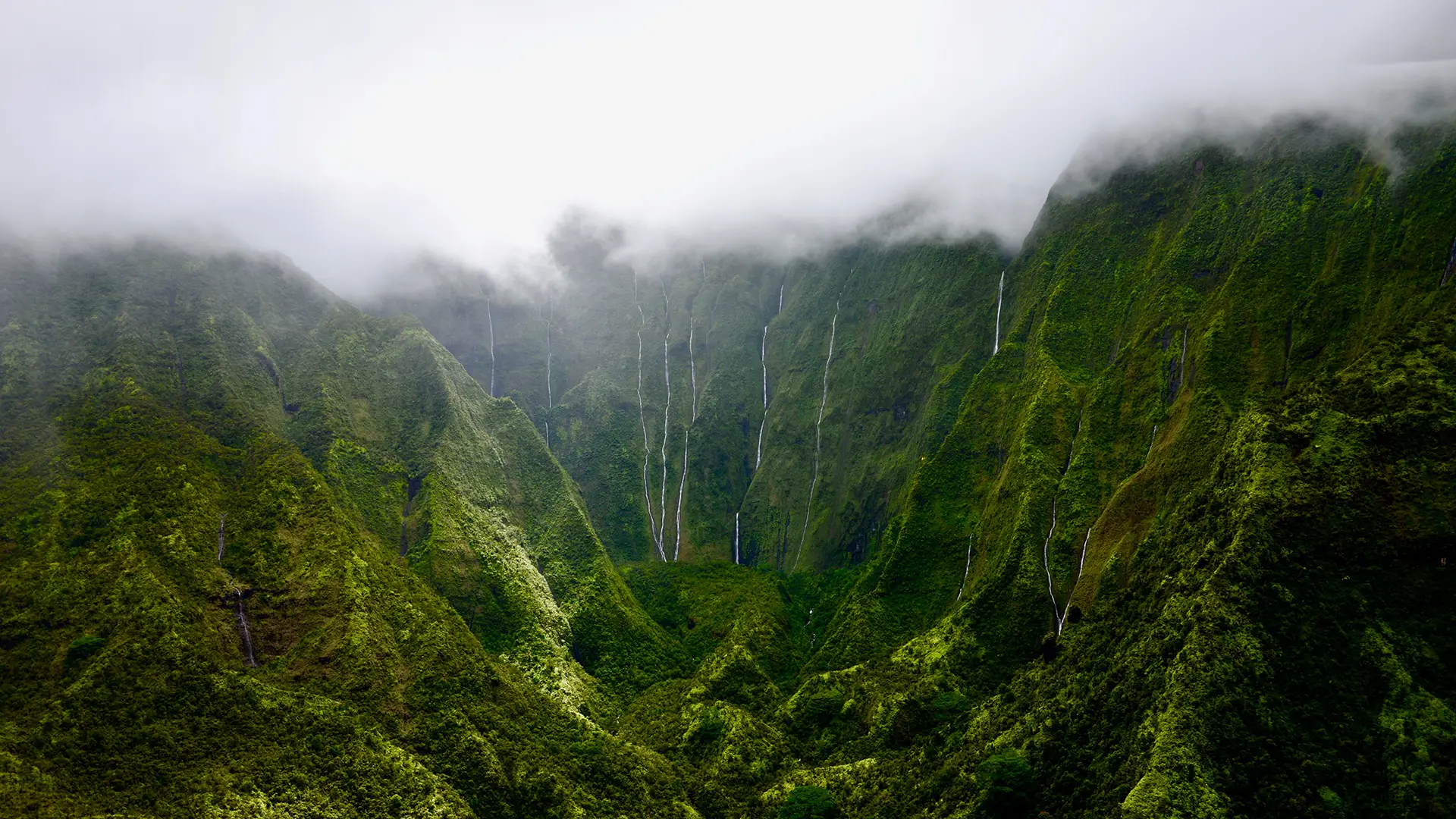 A lush, green mountainous landscape veiled by misty clouds, with multiple narrow waterfalls cascading down steep, verdant cliffs into a dense valley below—a perfect backdrop for discovering what to do on Kauai when it rains.