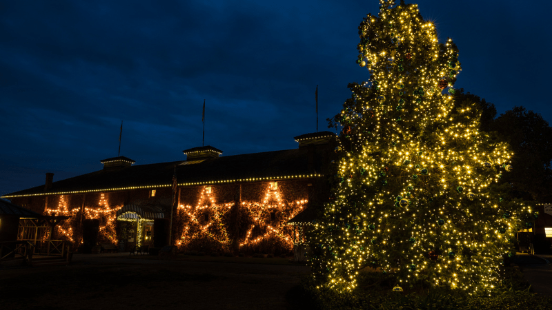 Christmas tree and lighted stars for holidays in Yountville.