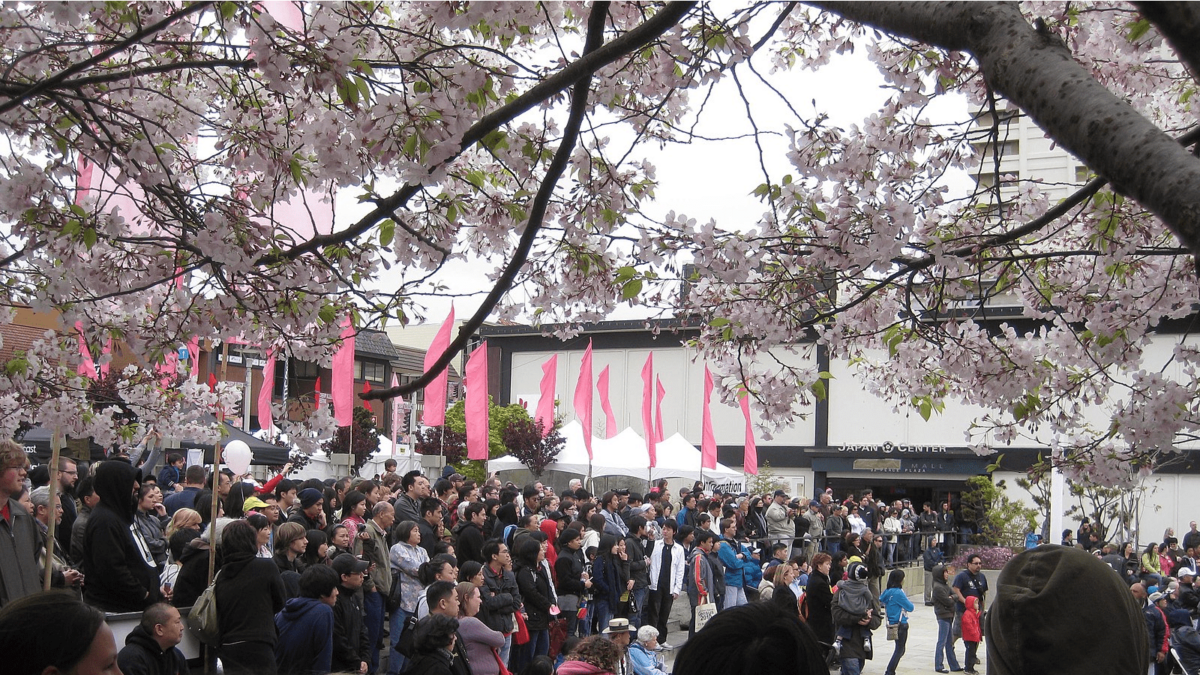 Cherry Blossom Festival San Francisco