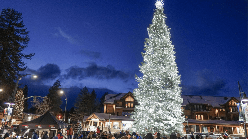 White Christmas tree lit in Tahoe