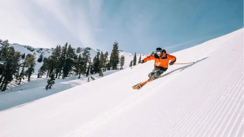 A skier wearing bright orange and black gear swiftly descends a snowy slope. Snow-covered trees line the background under a clear blue sky. The skier leans into the turn, leaving carved tracks in the fresh, undisturbed snow—one of the best things to do in Tahoe November.