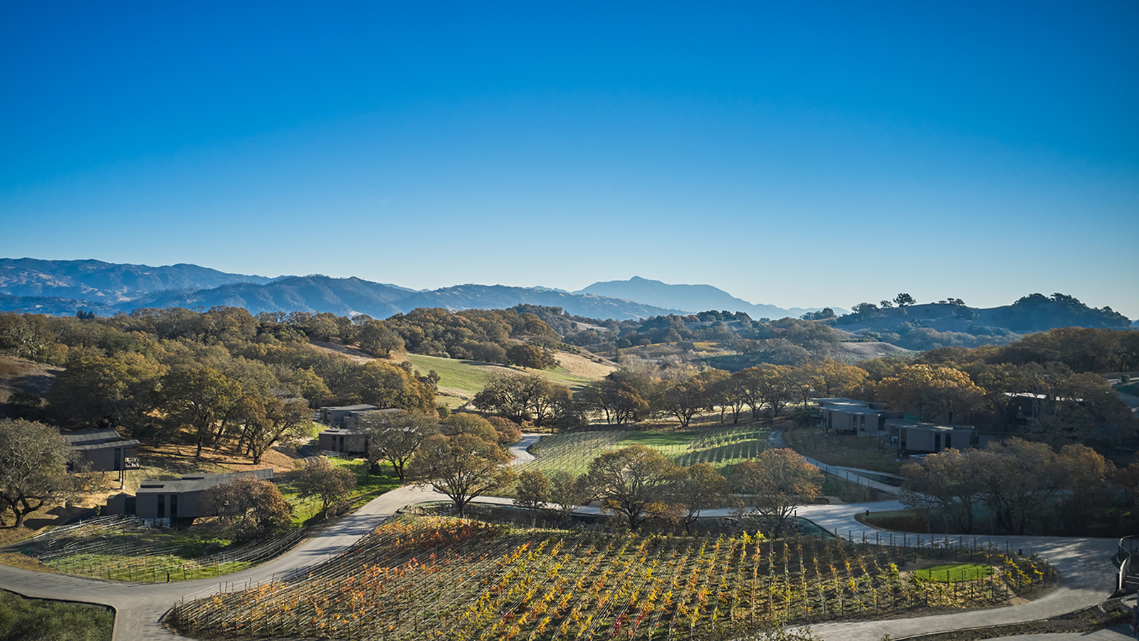 Rolling hills and wineries in Healdsburg, California wine country.