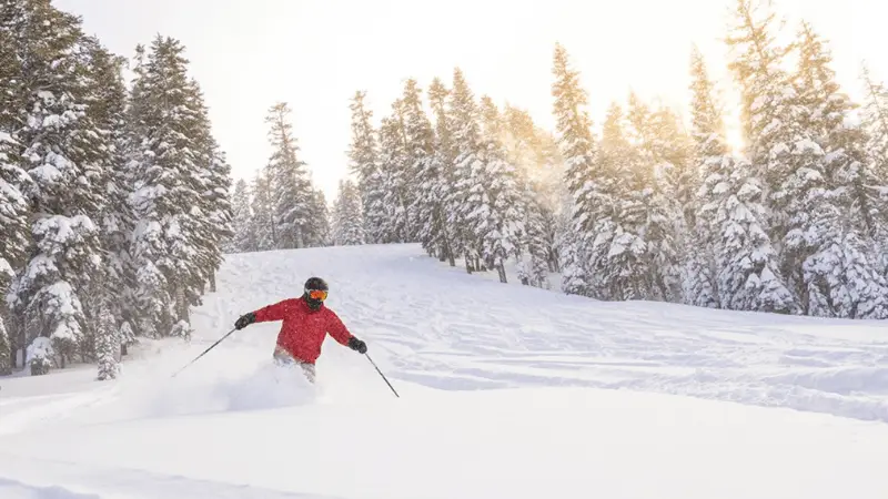 A skier in a red jacket and dark pants is navigating through fresh powder snow on a sunlit mountainside, embodying the spirit of outdoor activities Tahoe is known for. The scene, surrounded by tall, snow-covered pine trees under a clear sky with sunlight filtering through, showcases why it's one of the best places to visit Lake Tahoe.