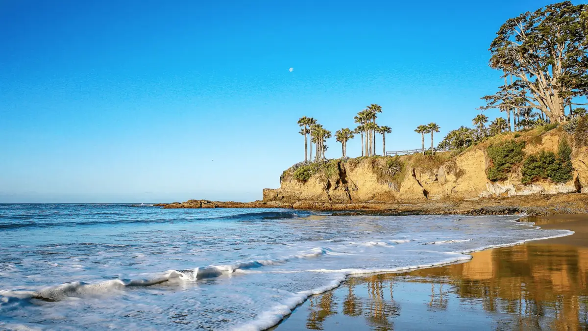 A scenic beach in Southern California with gentle waves washing onto the shore. Cliffs adorned with palm trees rise on the right, against a clear blue sky. Known for some of the best snorkeling in Southern California, the reflection of the landscape is visible in the wet sand.