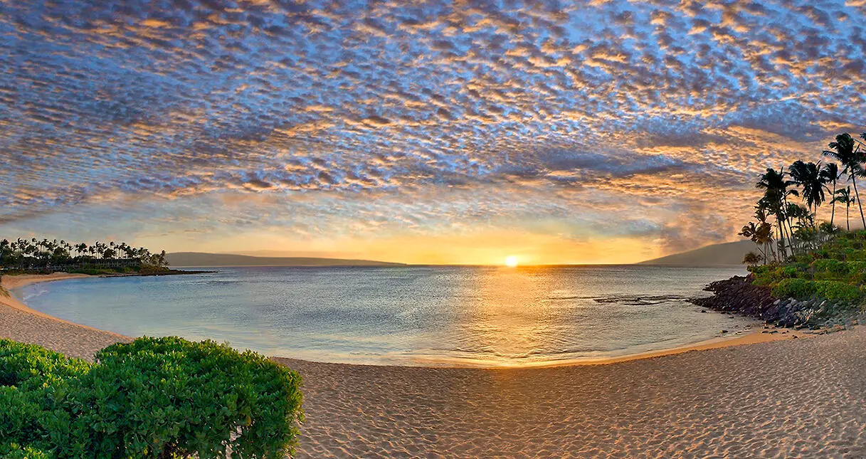 A serene beach scene at sunrise with a golden sun rising over the horizon, casting a warm glow on the calm ocean. The sky is filled with scattered clouds illuminated by the sunrise. Lush greenery and palm trees frame the foreground.