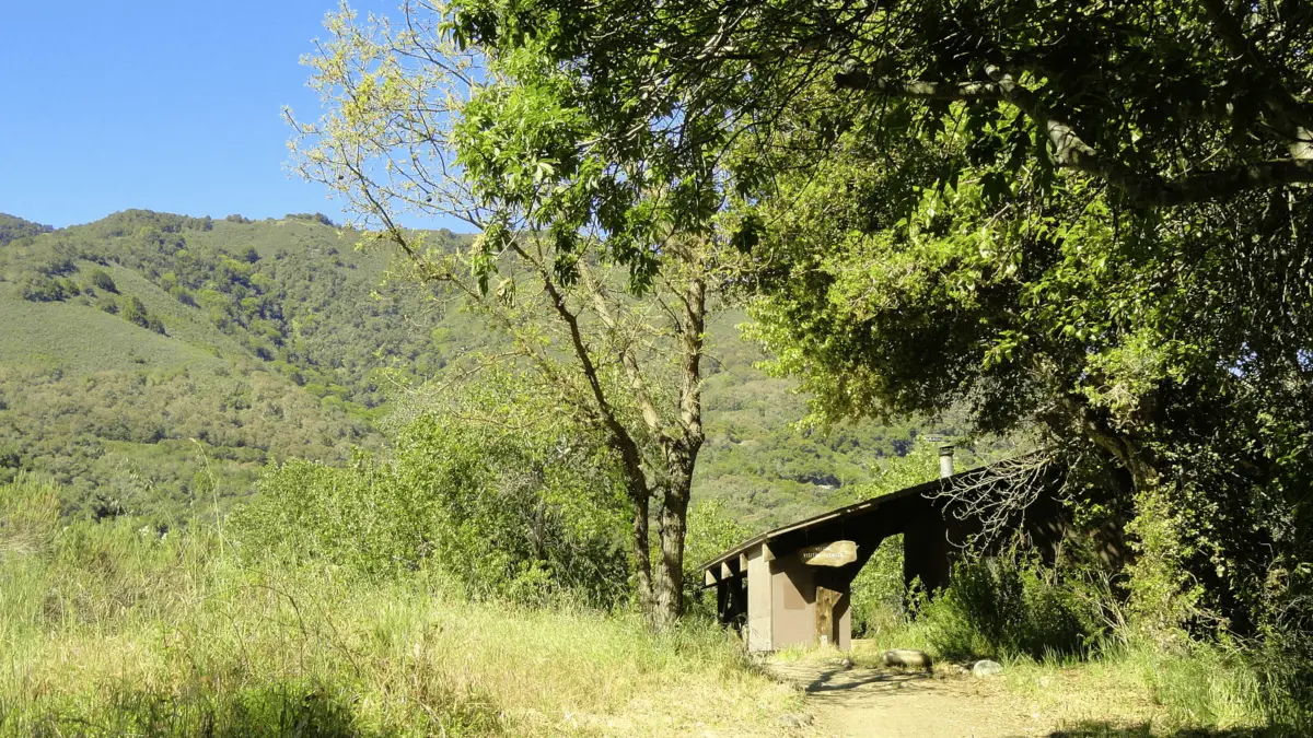 A rustic cabin partially shaded by trees stands at the edge of a grassy clearing. A dirt path leads to the cabin's entrance. Lush hills covered in greenery and bathed in sunlight rise in the background under a clear blue sky, perfect for those seeking pet-friendly getaways.