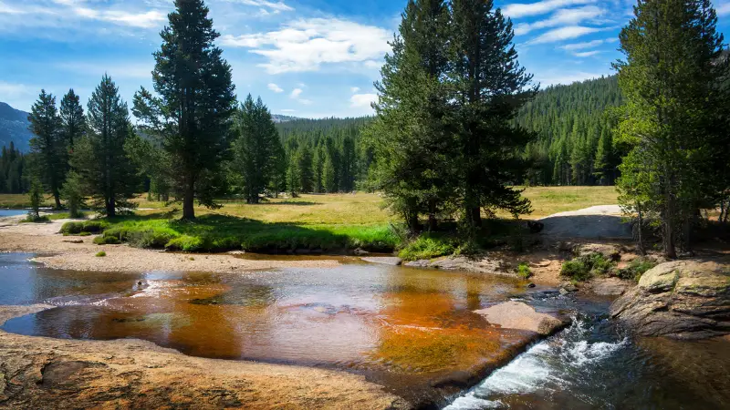 A serene landscape along the John Muir Trail features a tranquil stream flowing across smooth rocks and into a grassy meadow. Tall evergreen trees line the scene under a clear blue sky, with distant forested hills providing a picturesque backdrop.