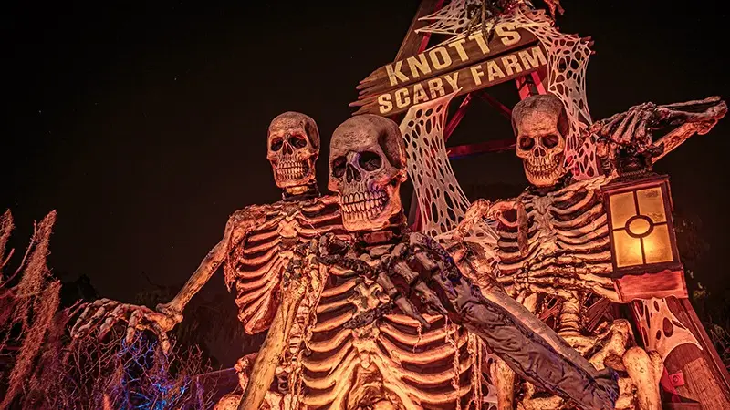 Three giant skeletons holding lanterns stand illuminated under a sign reading "Knott's Scary Farm" with a spooky backdrop featuring spider webs and eerie lighting, creating a haunted atmosphere at night—one of the thrilling fall activities in Southern California.