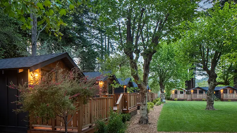 A row of rustic wooden cabins with warm lights nestled among large, leafy trees in a serene outdoor setting evokes the charm often found in Napa hotels. The foreground features a well-maintained grassy area and a gravel path that runs alongside the cabins, enhancing the natural, tranquil atmosphere.