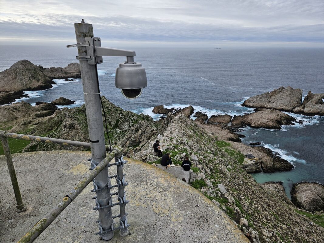 Camera atop Farallones Nature Cam by Cal Academy