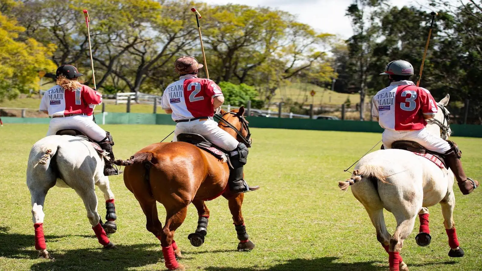 Three polo players wearing red and white uniforms, labeled with numbers 2 and 3, ride horses with red leg wraps on a grassy field. Trees and a green fence are seen in the background under a partly cloudy sky, reminiscent of scenic places to visit on Maui.