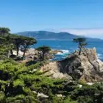 A rugged coastline with rocky outcrops and scattered trees overlooks a vast blue ocean. Lush green foliage in the foreground contrasts with the deep blue water and mountainous backdrop under a clear blue sky, making it one of the top activities in Carmel for nature enthusiasts.