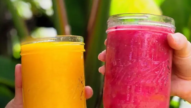 Two hands hold jars filled with colorful smoothies. The jar on the left contains a bright yellow smoothie, and the jar on the right holds a vibrant pink smoothie. Green foliage in the background suggests an outdoor setting, reminiscent of enjoying smoothies and acai bowls in Kauai's lush environment.