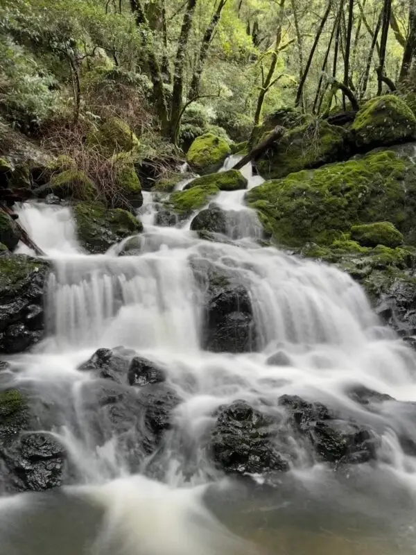 Long-exposure of the Cataract falls waterfall hike in the Bay Area