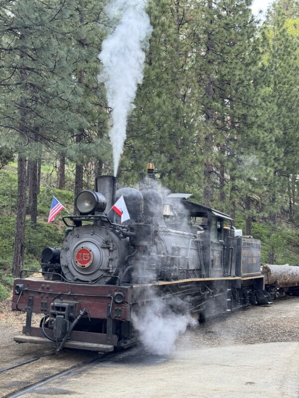 A vintage steam locomotive with the number 15 and two flags on the front is releasing steam as it stands on the railway tracks. The setting, reminiscent of a Bass Lake weekend, is surrounded by tall, dense pine trees, creating a forested backdrop.