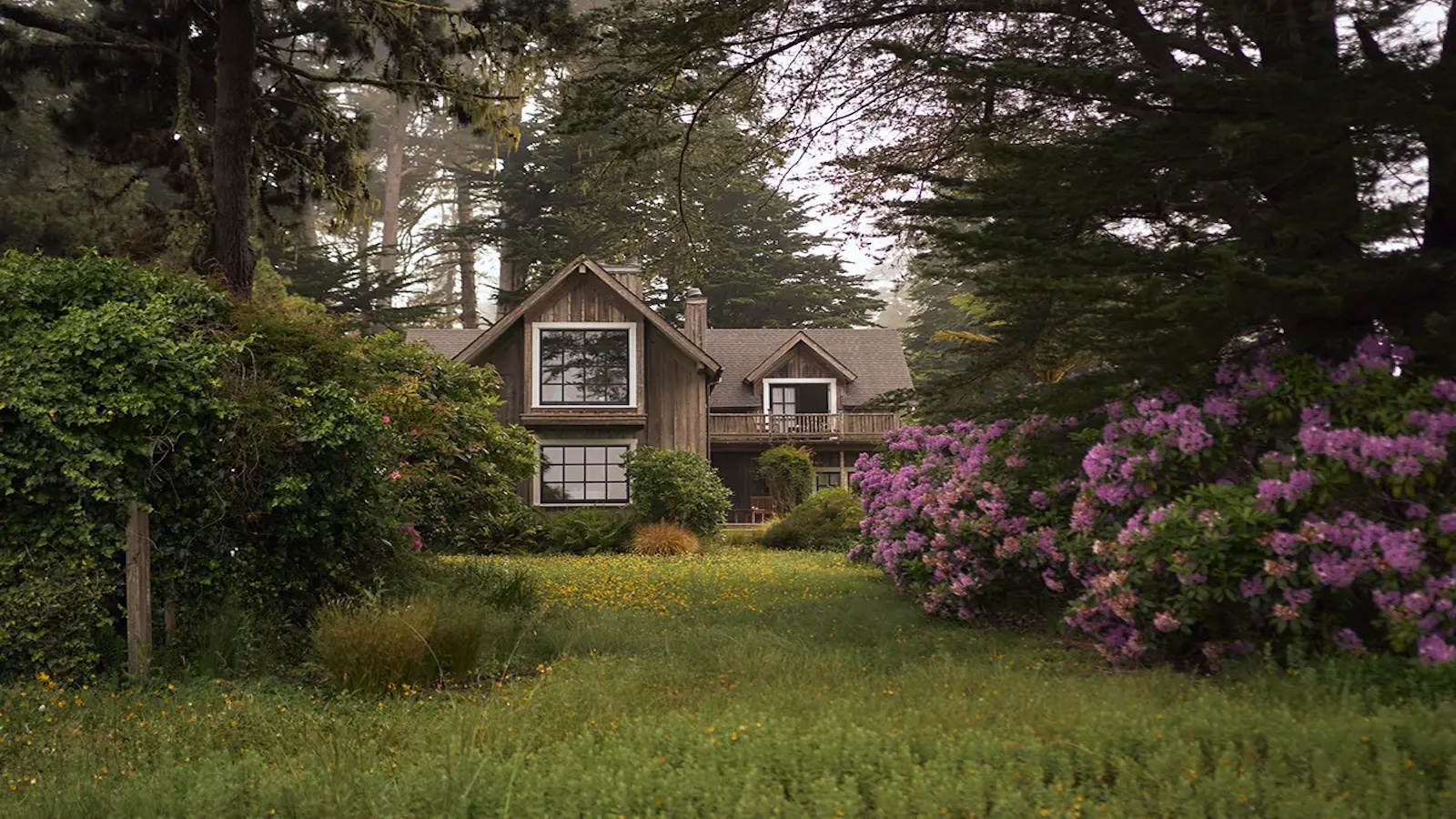 SCP Mendocino Inn and Farm surrounded by trees.