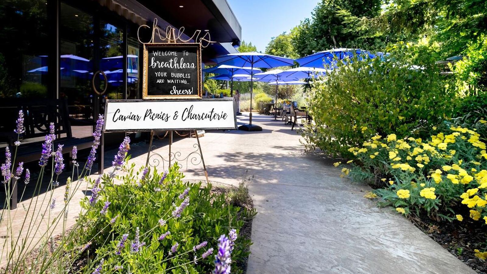 The outdoor patio area of the restaurant features tables and chairs shaded by blue umbrellas. A chalkboard sign on an easel reads, "Welcome to breathless, Your bubbles are waiting. Cheers!" Bright flowers and plants decorate the surrounding area, reminiscent of dog-friendly tasting rooms in Sonoma County.