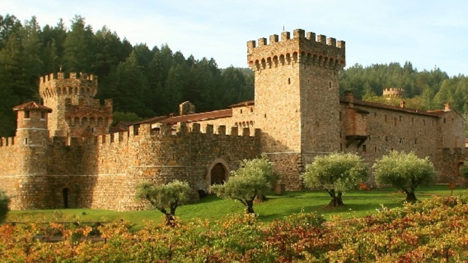 A majestic stone castle with multiple turrets and towers, surrounded by lush greenery and a vineyard in the foreground. Tall trees rise in the background under a clear sky. The architecture features medieval-inspired design with crenellated walls, offering dog-friendly tasting rooms in Napa Valley.