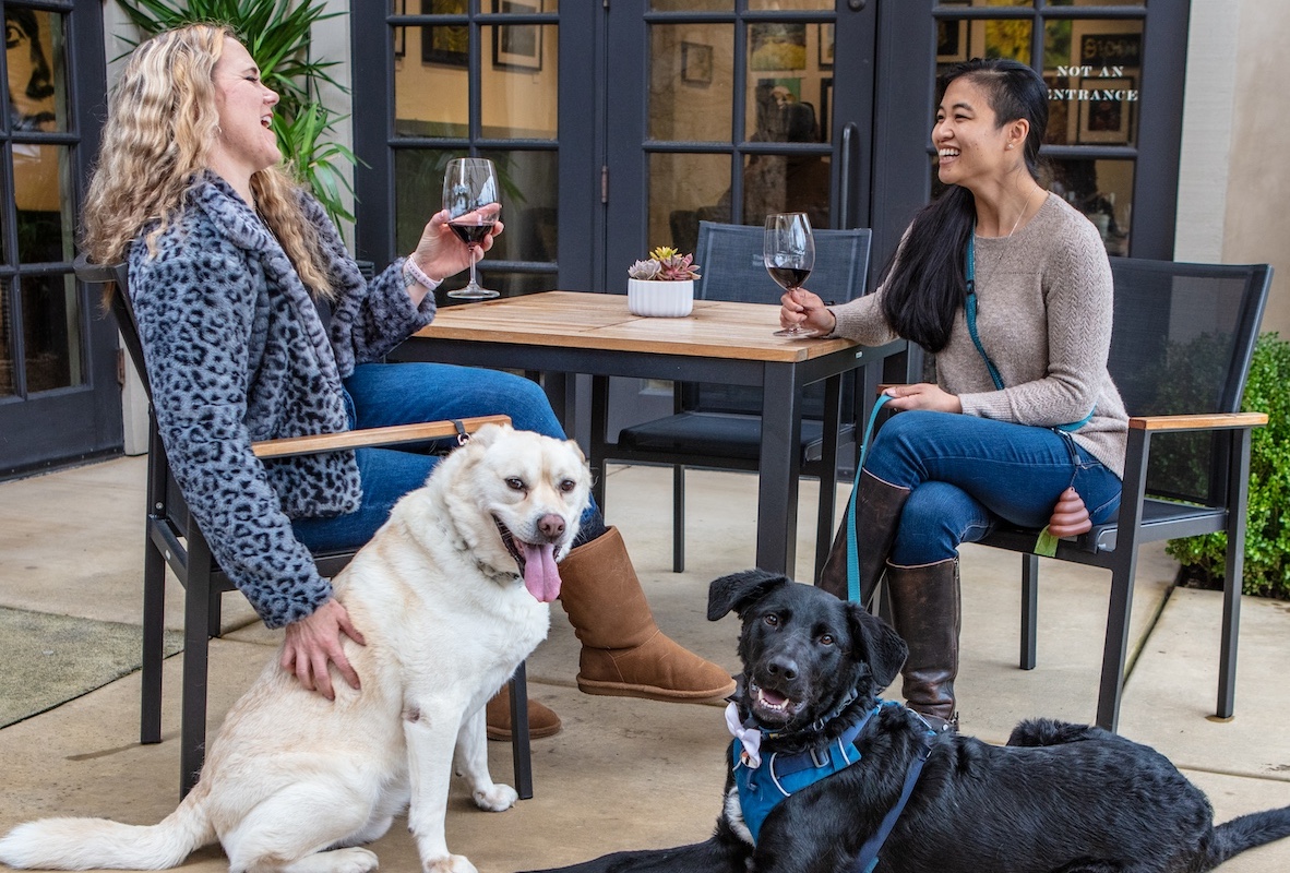 Two women sitting at an outdoor table, each holding a glass of red wine and smiling at each other. A light-colored dog sits beside one woman while a black dog lays on the ground in front, both dogs are leashed and appear relaxed. The setting is casual and inviting.