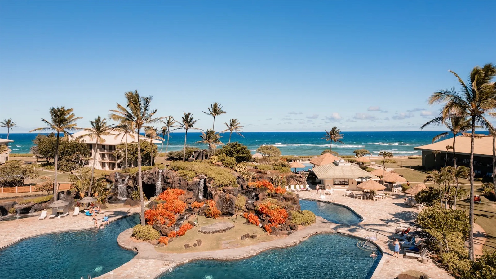 A tropical resort with a large pool surrounded by palm trees and vibrant red-orange flowers. In the background, there are buildings and a clear blue ocean under a bright sky. People are enjoying the sunny weather and the pool area.