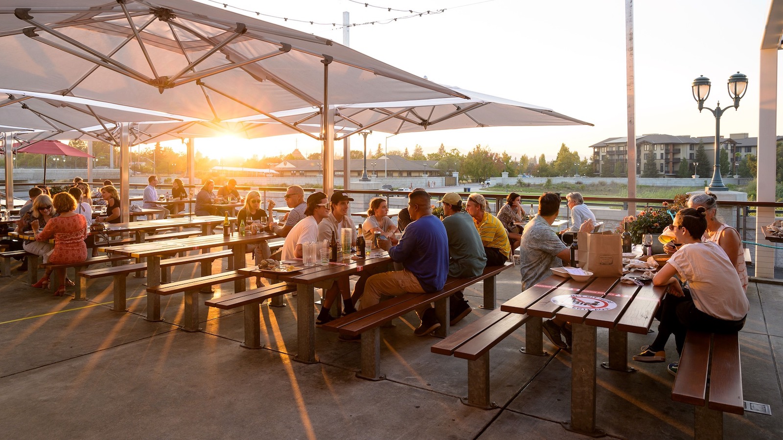 People are sitting at long wooden picnic tables underneath large white umbrellas at an outdoor restaurant during sunset in Napa Valley. The atmosphere is casual and relaxed, with groups of friends and families, along with their pets, enjoying meals and conversations. Buildings and lampposts are seen in the background.