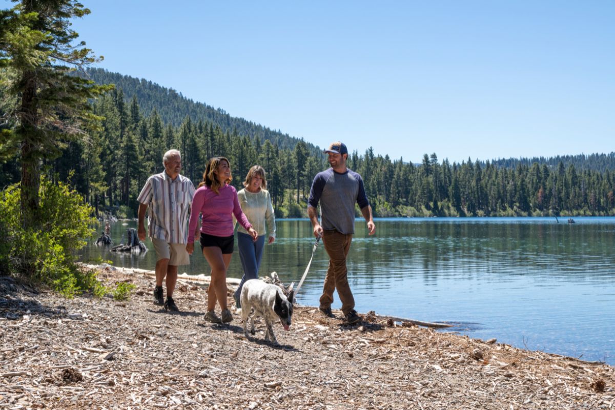 Four people walk along the serene lakeshore of Lake Tahoe, a stunning backdrop of wooded areas and mountains behind them. One person is walking a dog on a leash, enjoying one of the Dog Approved Hikes. The sky is clear and sunny, making for a perfect day outdoors.