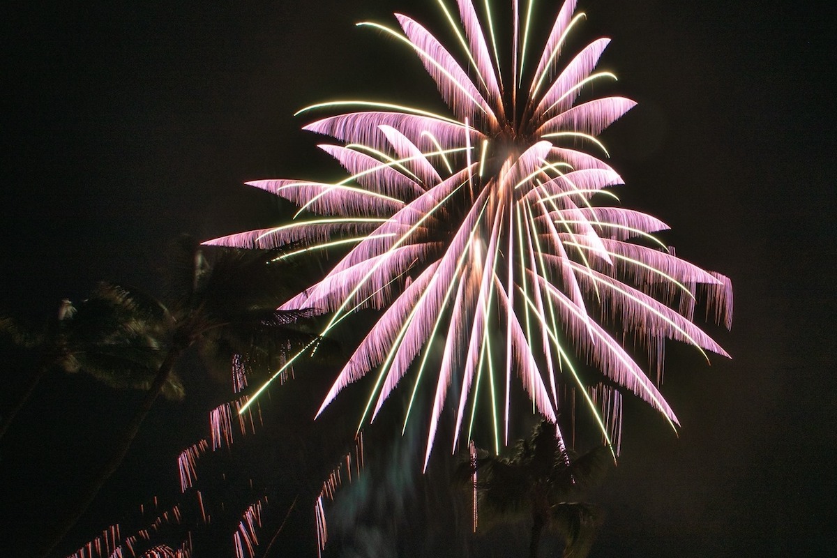 Pink fireworks that looks like a palm tree lights up the night sky.