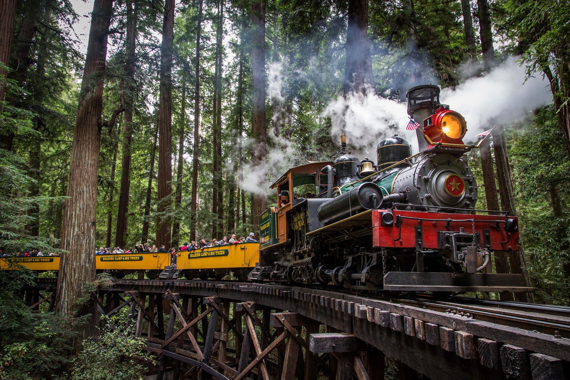 A train with steam coming out the top on a set of tracks running through the trees.