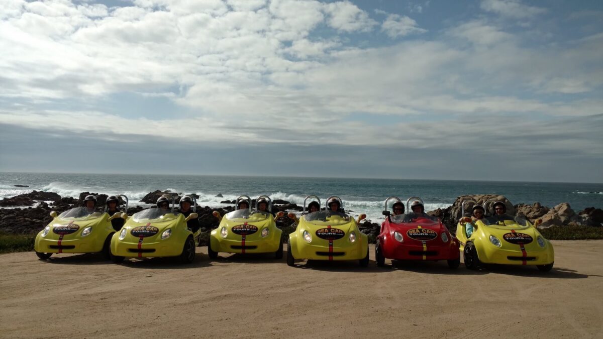 A line of mostly yellow and one red gocar sit on a road in front of the ocean.