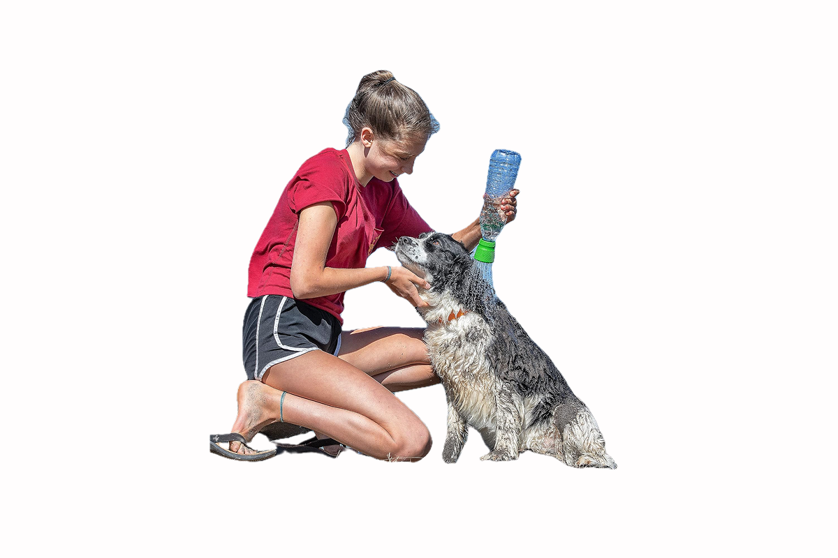 A woman spraying water on her large dog.