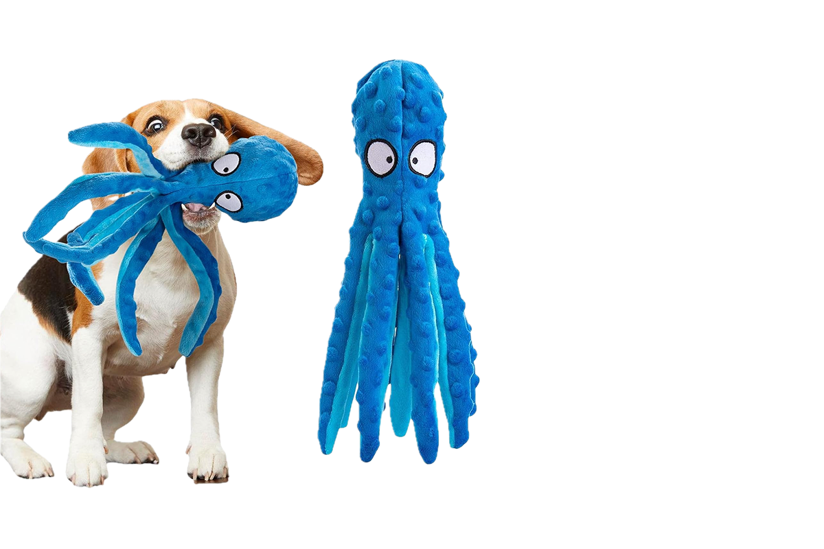 A brown and white dog with a blue octopus toy in his mouth, next to the blue octopus toy.