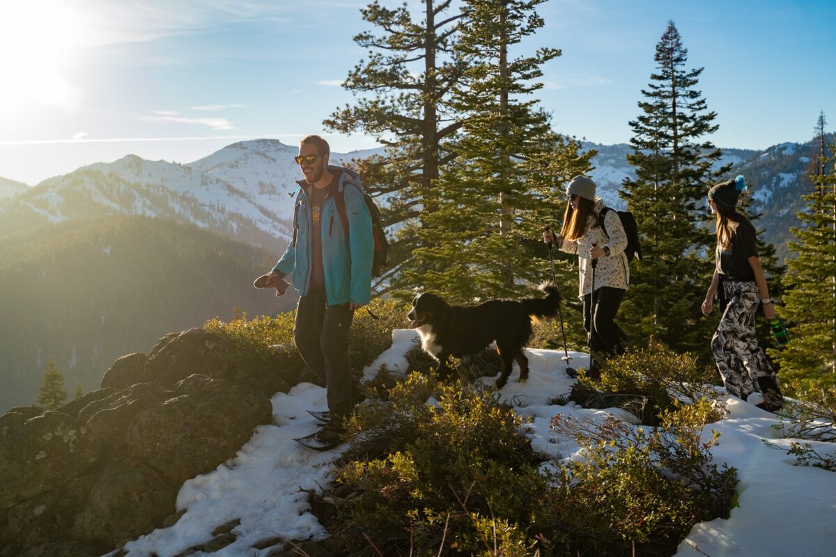 Three people snowshoe as a dog follows them, on top of a snowy mountain with trees and other mountains around them.