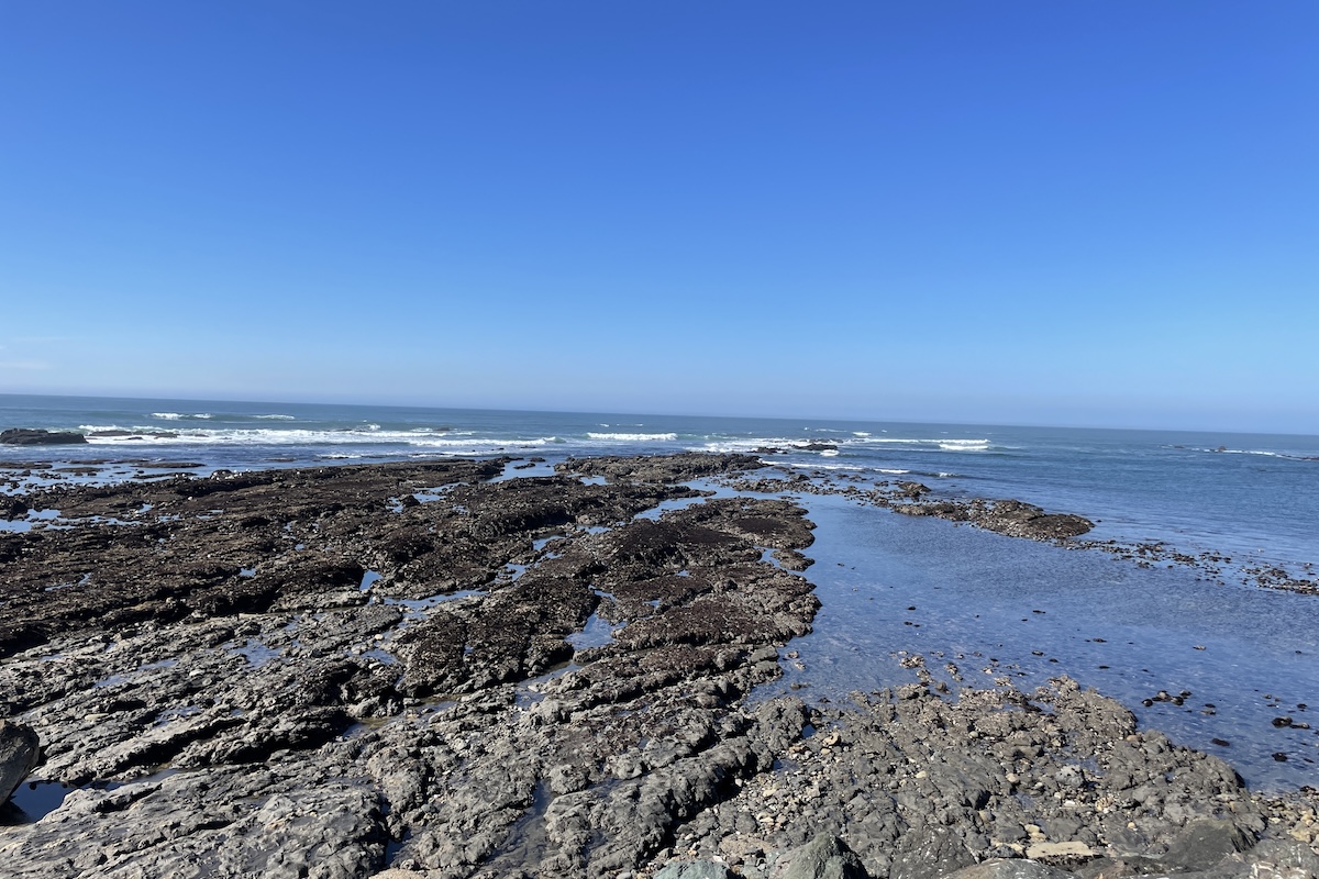Fitzgerald Marine Reserve